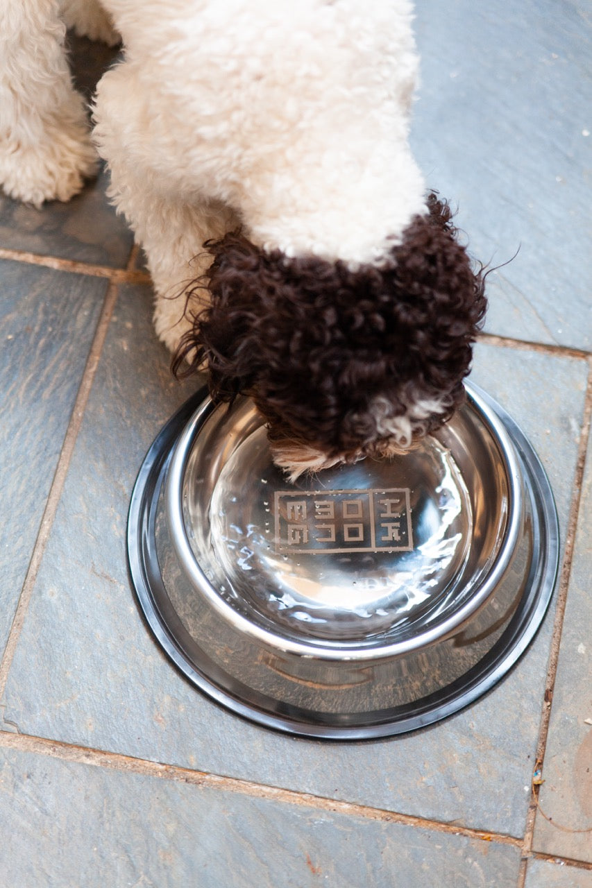 HOME KONG BUILDING LOGO PET BOWLS