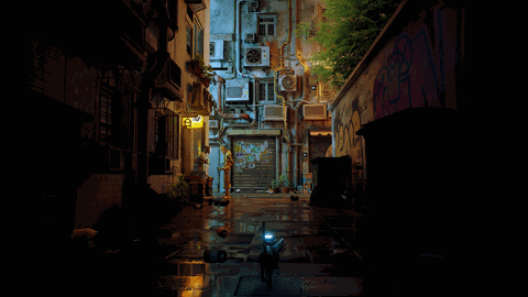LIVE AS A CAT IN THE KOWLOON WALLED CITY